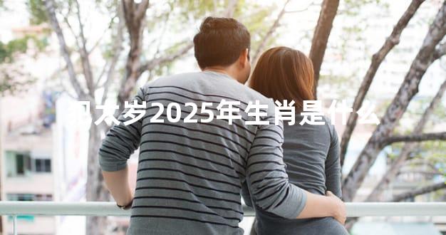 犯太岁2025年生肖是什么