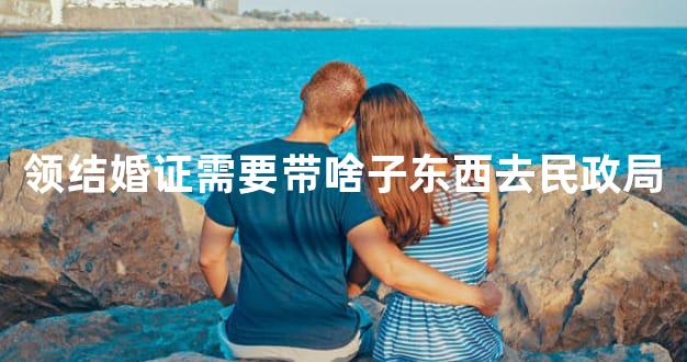 领结婚证需要带啥子东西去民政局